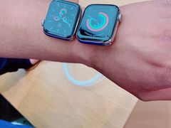 -Apple 零售店(Canton Road)