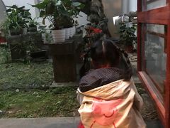 -光裕书厅·评弹茶馆·剧场(观前街店)