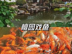 -檀园