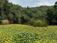 -天目湖山水园