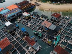 -蓝湾碧波·老字号·疍家非遗海上餐厅