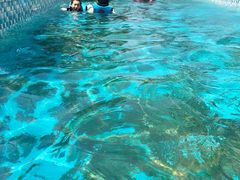 -杭州浪浪浪水公园