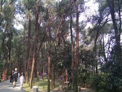 -南国桃园旅游度假区