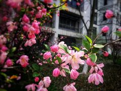 -东华大学(松江校区)