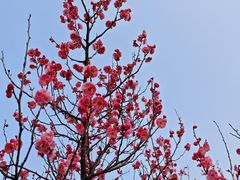 -长广溪湿地公园
