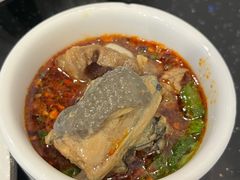 -草墩罗非鱼庄•野生菌•腊排骨(七星街上段店)