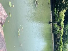 -嘉定紫藤园