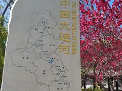 -桃花堤公园