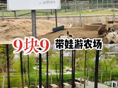 -前小桔亲子创意农场·草莓采摘·露营烧烤