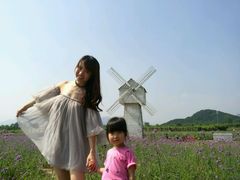 -北京东方普罗旺斯薰衣草庄园