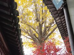 -檀园