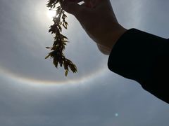 -渔寮风景区