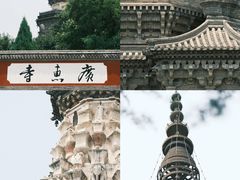 -真定郝家排骨(正定县总店)