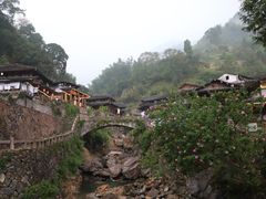 -林坑古村落