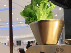 -西塔老太太泥炉烤肉(温州首店万象城黑金店)