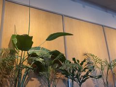 -Wagas沃歌斯(汇智店)