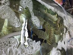 班赞生鲜市场-班赞海鲜市场
