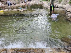-北仑森林植物园