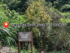 -阳台山森林公园