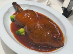 -丁老爷子苏香圆