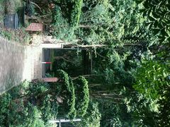 -广东茂名森林公园