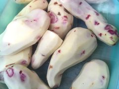 -翕庐小苑