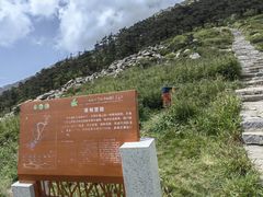 -朱雀国家森林公园