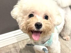 -久久宠物(河东万达店)