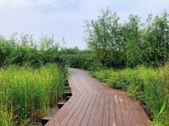 -永定河休闲森林公园