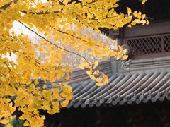 -钱王祠