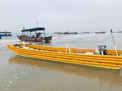 -万尾金滩