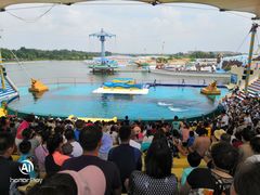 -秦皇岛乐岛海洋王国