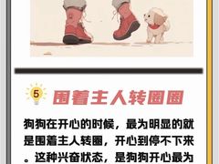 -瑞鹏宠物医院犬猫全科(真大分院)