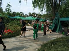-成飞公园