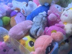 -皮记海鲜1995(寮步店)