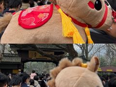 -南宋胡记(杭州灵隐寺店)