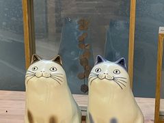 -猫里有甜