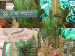 -润园四季椰子鸡火锅(南山海岸城店)