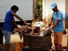 -尼甘布海鲜市场