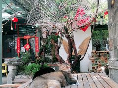 -喵屿·大理花园猫咖