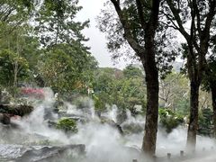 -东莞植物园
