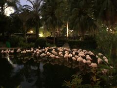 -九龙公园