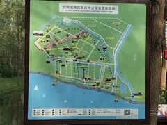 -合肥滨湖国家森林公园