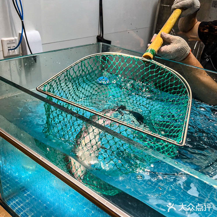 请问是谁发明的无刺黑鱼花火锅🐟都给我来吃❗❗