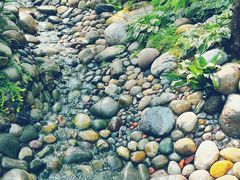 -成都市活水公园