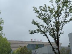 -郑州东站