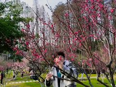 -桃花岭景区