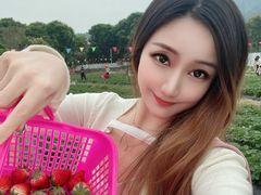 -火炉山森林公园
