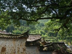 -杨家堂村