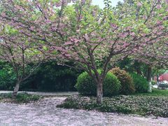 -南京航空航天大学(将军路校区)